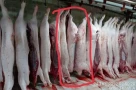 Ông Liễu Quý Ngân tiết lộ sốc vụ heo bệnh, công khai danh tính người lạ mặt đến nhà đòi livestream