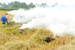 Nguyên nhân khủng khiếp khiến Trung Quốc cấm đốt rơm rạ!