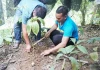 Công an điều tra 2 đề tài khoa học tiêu tốn tiền tỷ nhưng thất bại