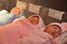 Bộ Nội vụ giải đáp lý do nữ giáo viên bị kỷ luật vì sinh con thứ 3