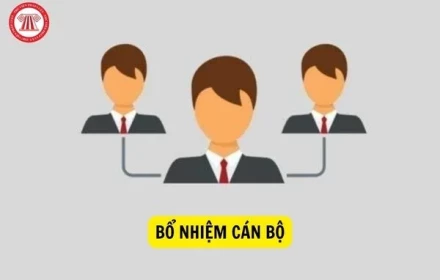 Chủ tịch xã có thẩm quyền bổ nhiệm, miễn nhiệm, tạm đình chỉ, cách chức với những chức vụ nào theo quy định mới?