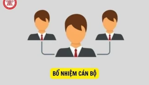 Chủ tịch xã có thẩm quyền bổ nhiệm, miễn nhiệm, tạm đình chỉ, cách chức với những chức vụ nào theo quy định mới?