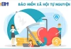 Người 60 tuổi đóng BHXH tự nguyện 10 năm, làm gì để có lương hưu ngay?