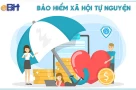 Người 60 tuổi đóng BHXH tự nguyện 10 năm, làm gì để có lương hưu ngay?