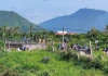 Thông tin nóng vụ người đàn ông nằm giữa đường ray bị tàu hỏa cán tử vong tại chỗ