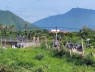 Thông tin nóng vụ người đàn ông nằm giữa đường ray bị tàu hỏa cán tử vong tại chỗ