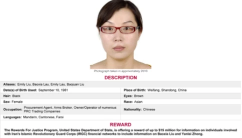 Bà nội trợ Trung Quốc trở thành tội phạm truy nã đắt nhất lịch sử FBI, Bin Laden chỉ số 2