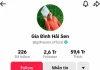 Vì sao chủ kênh TikTok "Gia đình Hải Sen" bị bắt dù đang nổi như cồn?