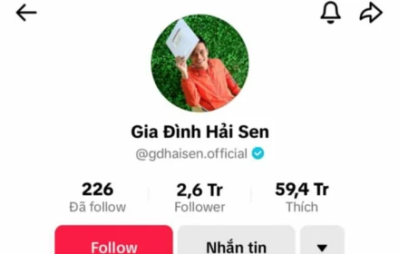Vì sao chủ kênh TikTok "Gia đình Hải Sen" bị bắt dù đang nổi như cồn?