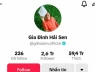 Vì sao chủ kênh TikTok "Gia đình Hải Sen" bị bắt dù đang nổi như cồn?