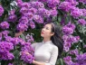 Mùa bằng lăng đang gần tàn, mối tình tuổi trẻ của mỗi người sao rồi?