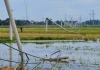🛑 Thanh Hóa: Cột điện gãy đổ như "ngả rạ" sau giông lốc