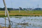 🛑 Thanh Hóa: Cột điện gãy đổ như "ngả rạ" sau giông lốc