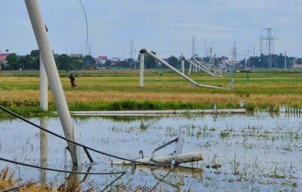 🛑 Thanh Hóa: Cột điện gãy đổ như "ngả rạ" sau giông lốc