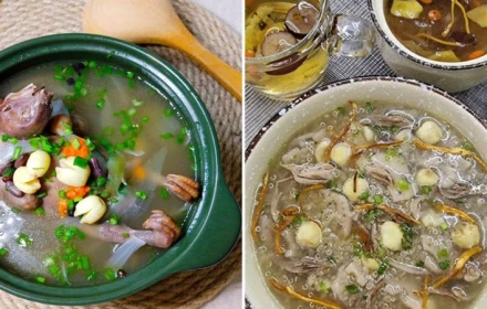 Thịt chim bồ câu bổ dưỡng như thế nào? Ai nên và không nên ăn?