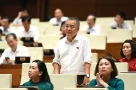 Nhất trí với giải pháp của ĐBQH Nguyễn Lân Hiếu, làm được như vậy thì người dân được nhờ quá!