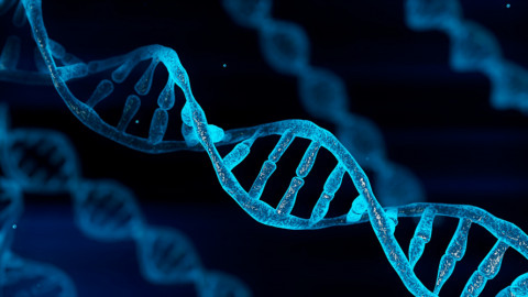 Phát hiện hoạt động bất thường của DNA virus cổ đại trong bộ gene người