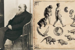 Loài côn trùng sống sót sau sự kiện khủng long tuyệt chủng thách thức thuyết tiến hóa của Darwin