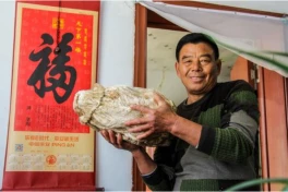 Linh chi thái tuế là gì? Linh chi thái tuế bao nhiêu tiền?