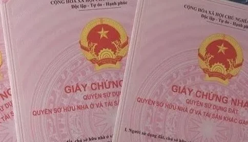 Vì sao có đề xuất số hóa sổ hồng, tích hợp vào mã định danh công dân?