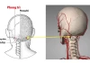 Chỉ cần 5 phút mỗi ngày - Bí quyết giúp hàng ngàn người khỏe mạnh qua mùa hè