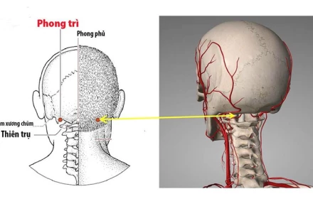 Chỉ cần 5 phút mỗi ngày - Bí quyết giúp hàng ngàn người khỏe mạnh qua mùa hè