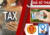 Người nộp thuế cần làm gì khi dùng mã định danh cá nhân làm mã số thuế từ 1/7/2025