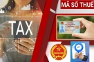 Người nộp thuế cần làm gì khi dùng mã định danh cá nhân làm mã số thuế từ 1/7/2025