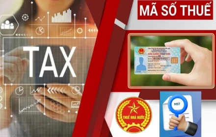 Người nộp thuế cần làm gì khi dùng mã định danh cá nhân làm mã số thuế từ 1/7/2025