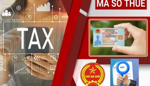 Người nộp thuế cần làm gì khi dùng mã định danh cá nhân làm mã số thuế từ 1/7/2025