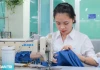Từ ngày 1/7, người lao động có được rút bảo hiểm xã hội một lần nữa không?