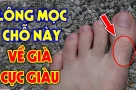 4 vị trí mọc lông Trời Cho Lộc Lớn, mở cửa đón Tiền Tài