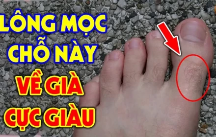 4 vị trí mọc lông Trời Cho Lộc Lớn, mở cửa đón Tiền Tài