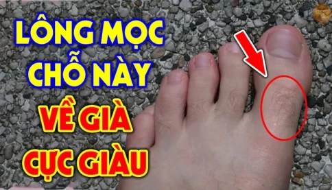4 vị trí mọc lông Trời Cho Lộc Lớn, mở cửa đón Tiền Tài