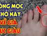 4 vị trí mọc lông Trời Cho Lộc Lớn, mở cửa đón Tiền Tài