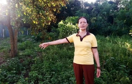 Như này có phải nhà bà Hồng "lỗ" không?