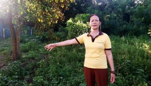 Như này có phải nhà bà Hồng "lỗ" không?