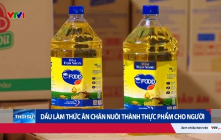 Dầu ăn giả quy mô cực lớn, liên quan nhiều doanh nghiệp lớn ở Việt Nam: Doanh thu 8200 tỷ trong 3 năm