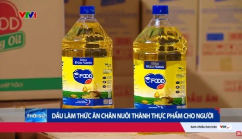Dầu ăn giả quy mô cực lớn, liên quan nhiều doanh nghiệp lớn ở Việt Nam: Doanh thu 8200 tỷ trong 3 năm