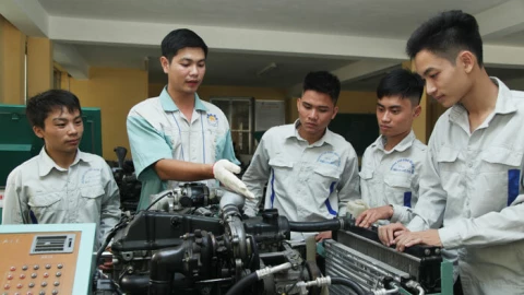 Học giỏi nhưng không học đại học liệu có phải sai lầm?