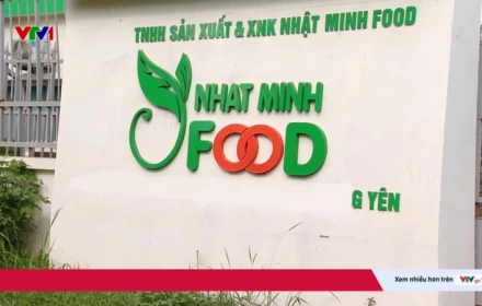Vụ án dầu ăn giả chấn động: Hàng chục nghìn tấn dầu chăn nuôi “đội lốt” thực phẩm cho người