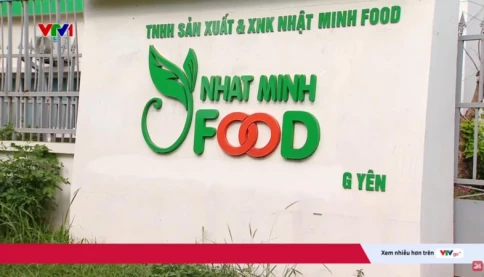 Vụ án dầu ăn giả chấn động: Hàng chục nghìn tấn dầu chăn nuôi “đội lốt” thực phẩm cho người