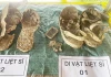 Tìm thấy 11 hài cốt liệt sĩ trong rừng tràm Quảng Trị, được an táng cùng các vật dụng cá nhân 😢