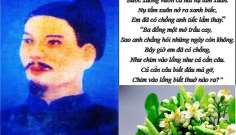 Đào Duy Từ và câu chuyện ẩn sau lời ca ‘Trèo lên cây bưởi hái hoa'