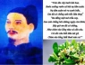 Đào Duy Từ và câu chuyện ẩn sau lời ca ‘Trèo lên cây bưởi hái hoa'