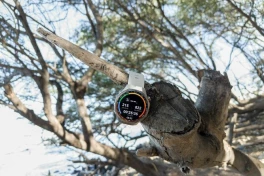 Thử mang Huawei Watch GT 5 Pro Titanium đi lên rừng, xuống biển và cái kết