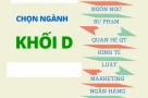 Cơ hội nào cho thí sinh nông thôn thi khối D01 Toán - Văn - Anh khi đề thi quá khó?
