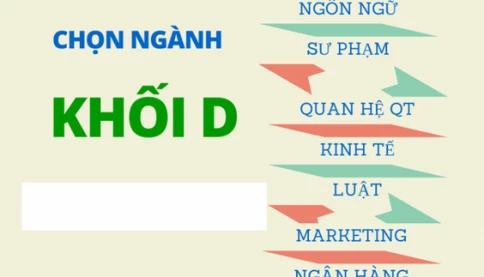 Cơ hội nào cho thí sinh nông thôn thi khối D01 Toán - Văn - Anh khi đề thi quá khó?