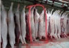 Công ty C.P Việt Nam nói gì sau khi có kết quả điều tra vụ tố bán heo bệnh ra thị trường?