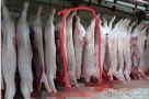 Công ty C.P Việt Nam nói gì sau khi có kết quả điều tra vụ tố bán heo bệnh ra thị trường?